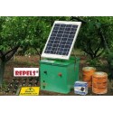 cercado eléctrico solar against wild pig rabbit raccoon and others